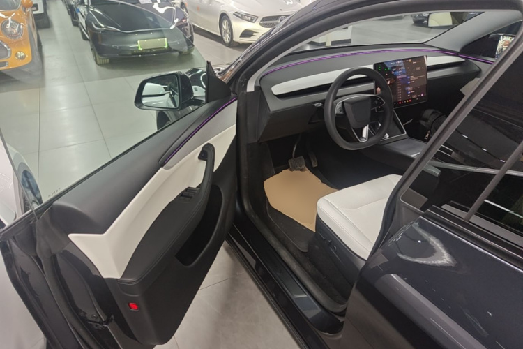 Tesla Model Y 2025 car image #16