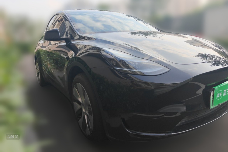 Tesla Model Y 2023 #4 Tesla Model Y 2023 car image #4