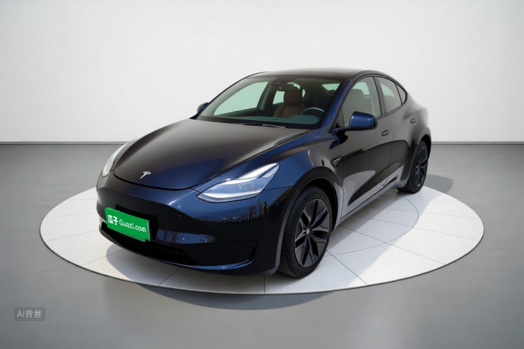 Tesla Model Y 2023 #2 Tesla Model Y 2023 car image #2