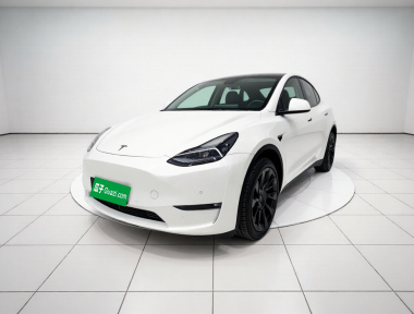 Tesla Model Y 2022 car image 