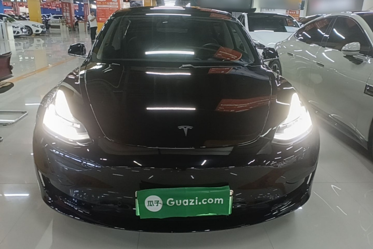 Tesla Model 3 2020 #3 Tesla Model 3 2020 car image #3