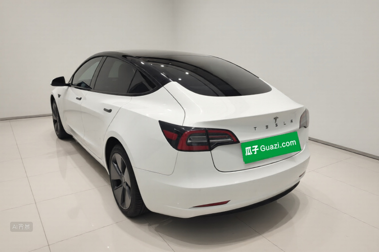Tesla Model 3 2023 car image #5