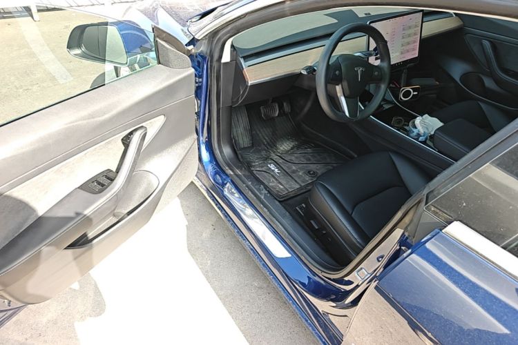 Tesla Model 3 2020 car image #16