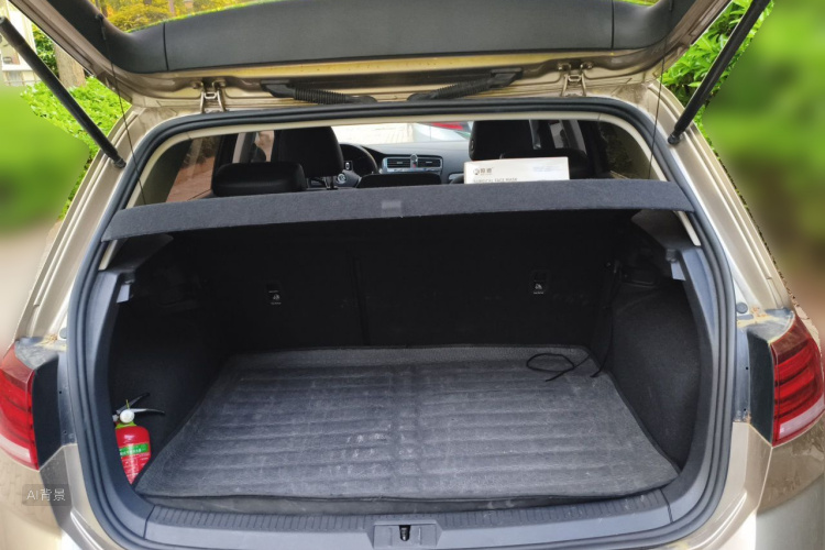 Volkswagen Golf 2018 car image #21