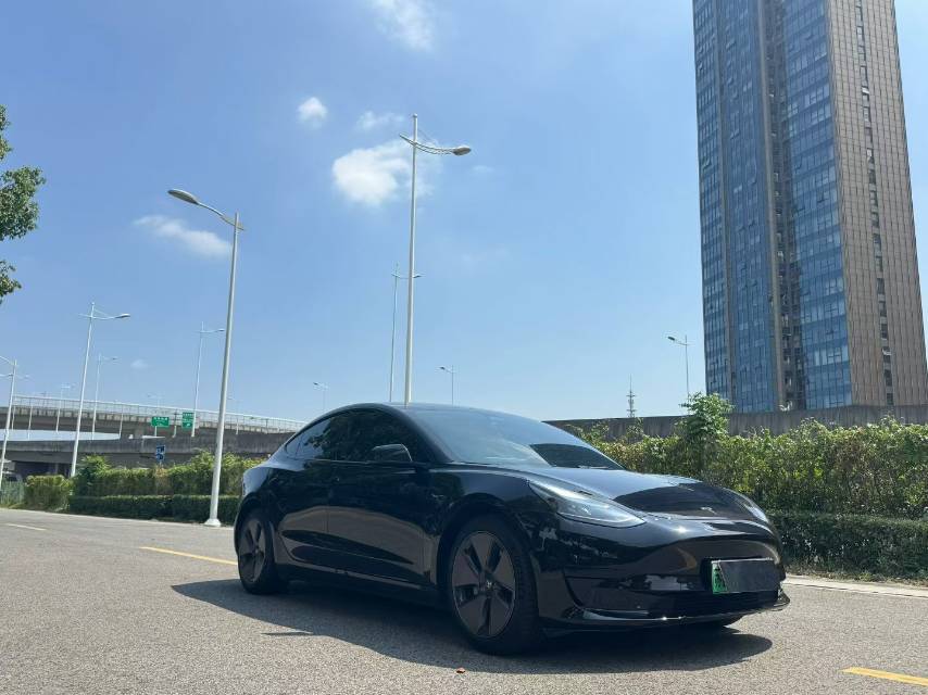 Tesla Model 3 2022 Tesla Model 3 2022 car image