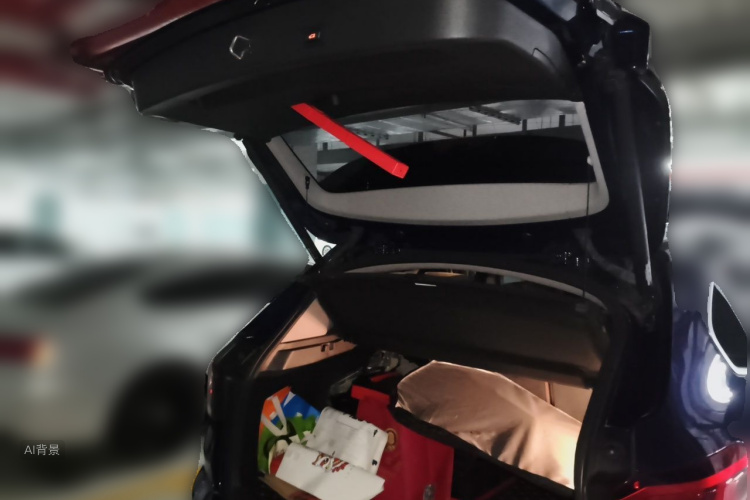 BMW X1 2019 car image #21