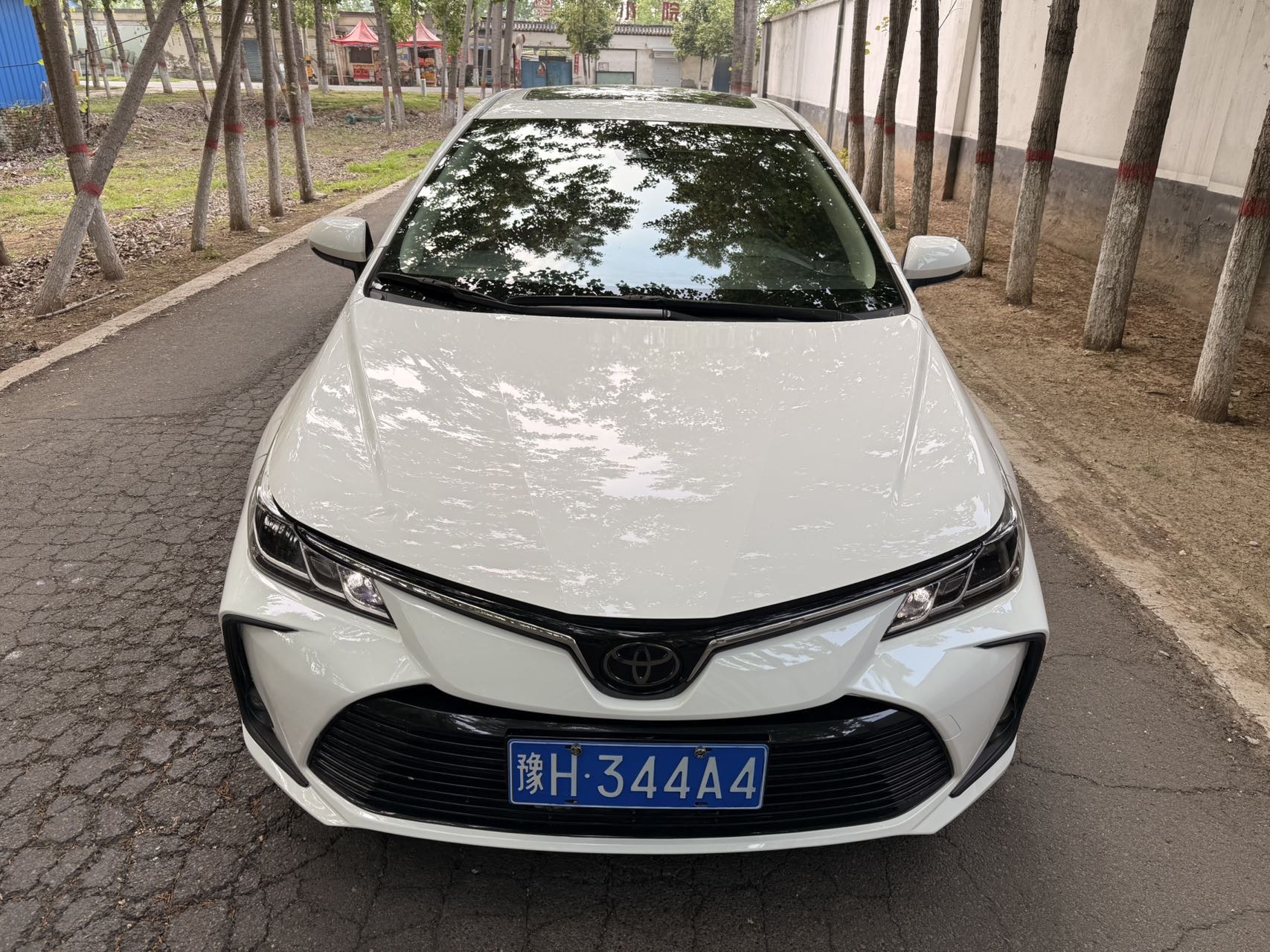 丰田 卡罗拉 2021 汽车图片 #2