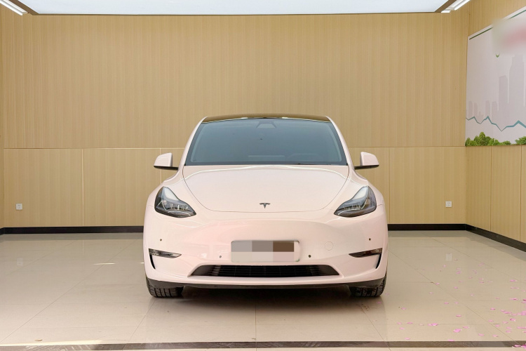 Tesla Model Y 2021 car image #3