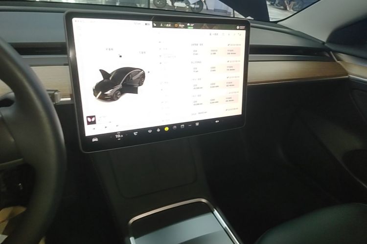 Tesla Model 3 2023 #17 Tesla Model 3 2023 car image #17