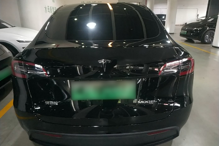 Tesla Model Y 2024 car image #6