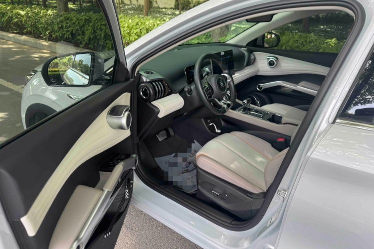 BYD Yuan Plus 2024 car image #16
