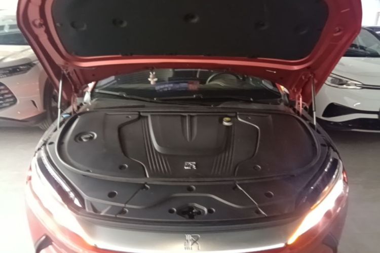 BYD Han 2021 car image #22