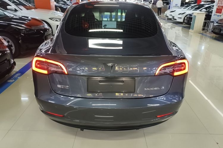 Tesla Model 3 2020 car image #6