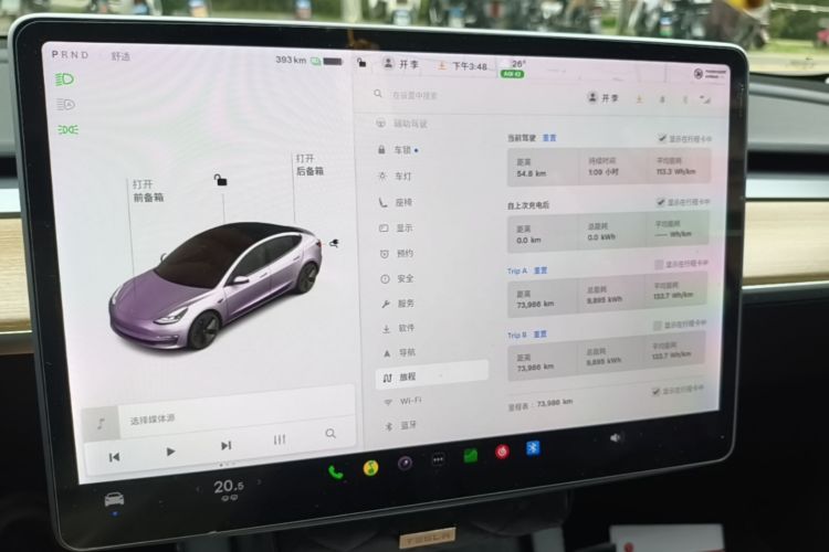 Tesla Model 3 2021 car image #13