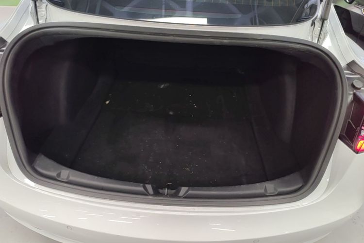 Tesla Model 3 2020 immagine di auto #19