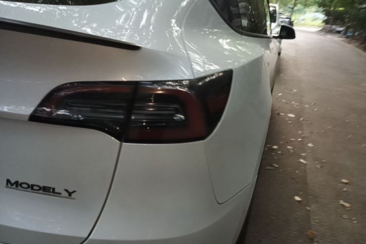 Tesla Model Y 2023 #8 Tesla Model Y 2023 car image #8