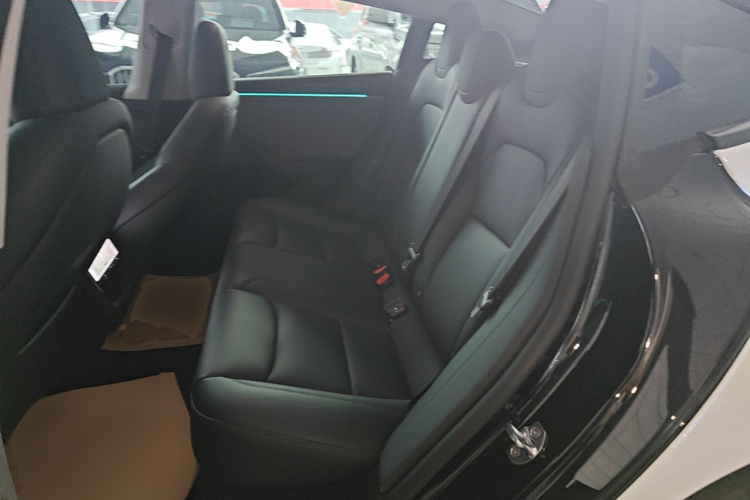 Tesla Model 3 2025 #17 Tesla Model 3 2025 car image #17