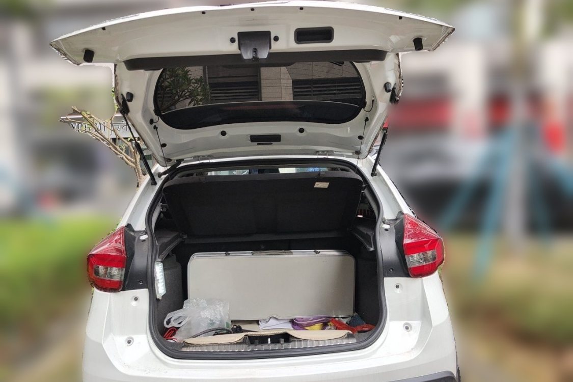 Chery Tiggo 3x 2019 #8 Chery Tiggo 3x 2019 car image #8