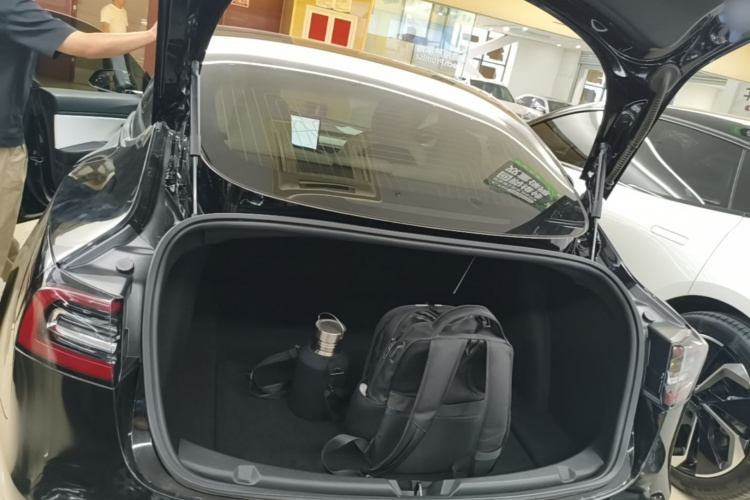 Tesla Model 3 2020 car image #21