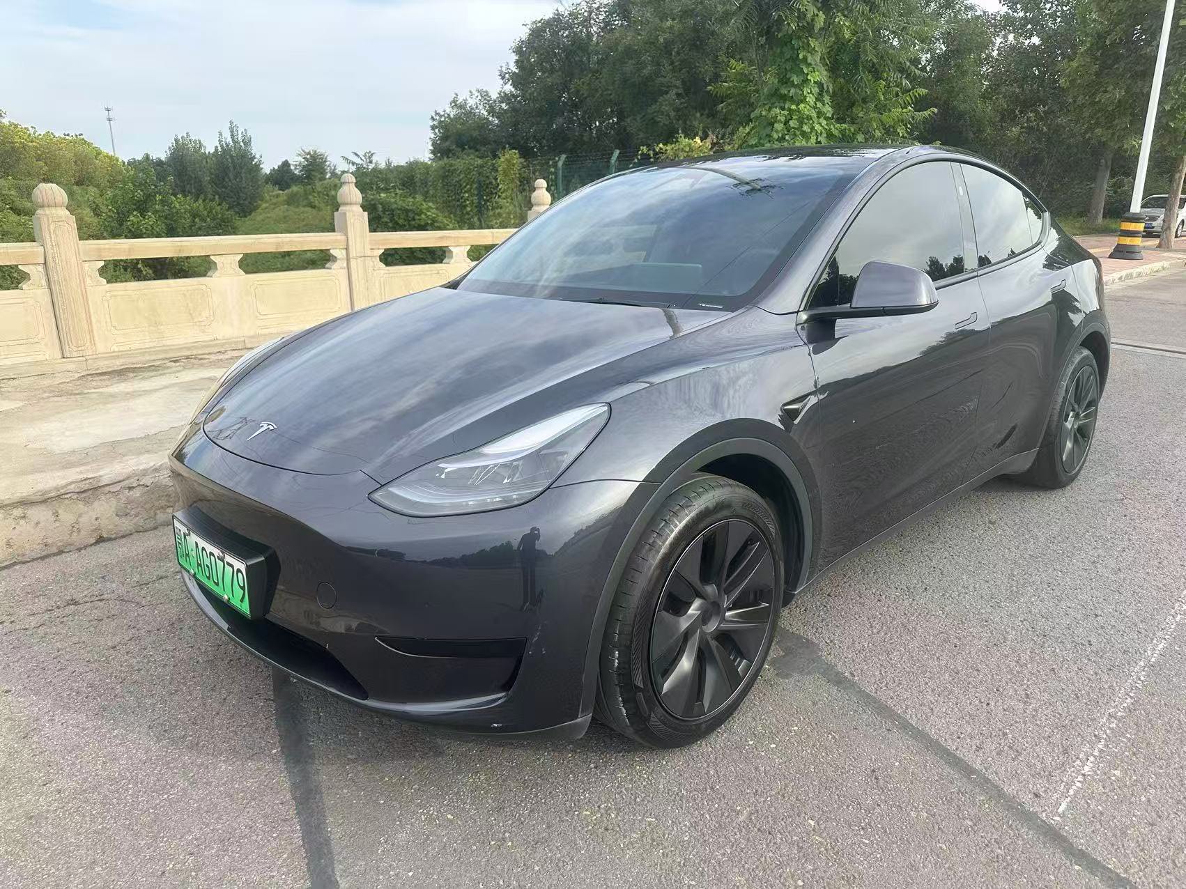 Tesla Model Y 2024 car image 
