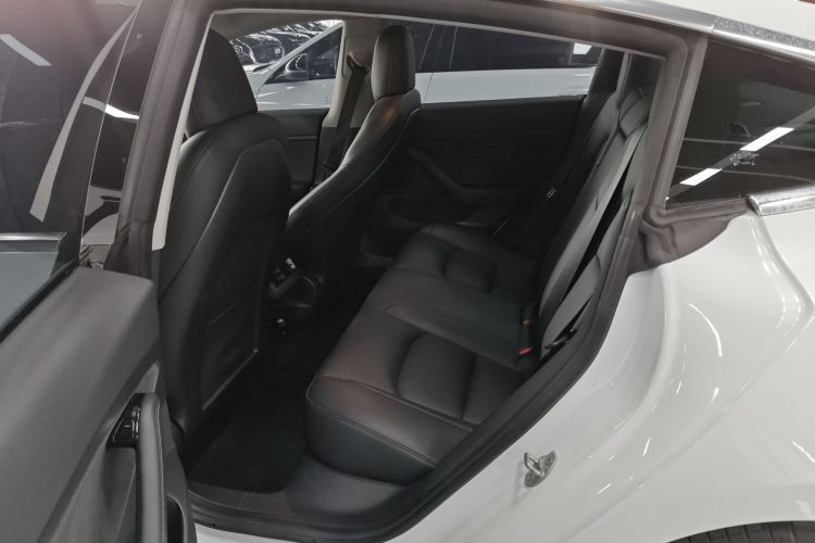 Tesla Model 3 2020 #17 Tesla Model 3 2020 car image #17