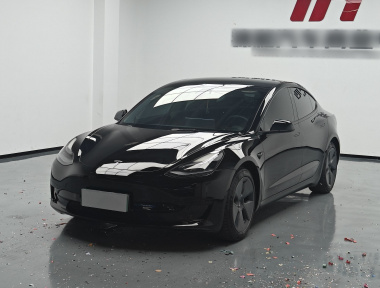 Tesla Model 3 2021 Tesla Model 3 2021 car image