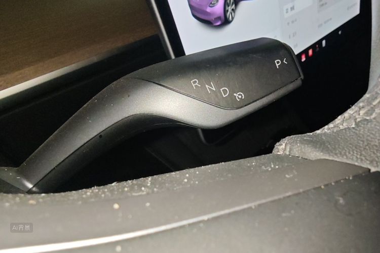 Tesla Model Y 2021 car image #16