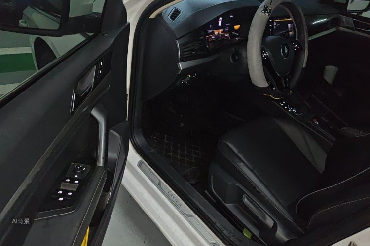 Volkswagen Lavida 2021 car image #18