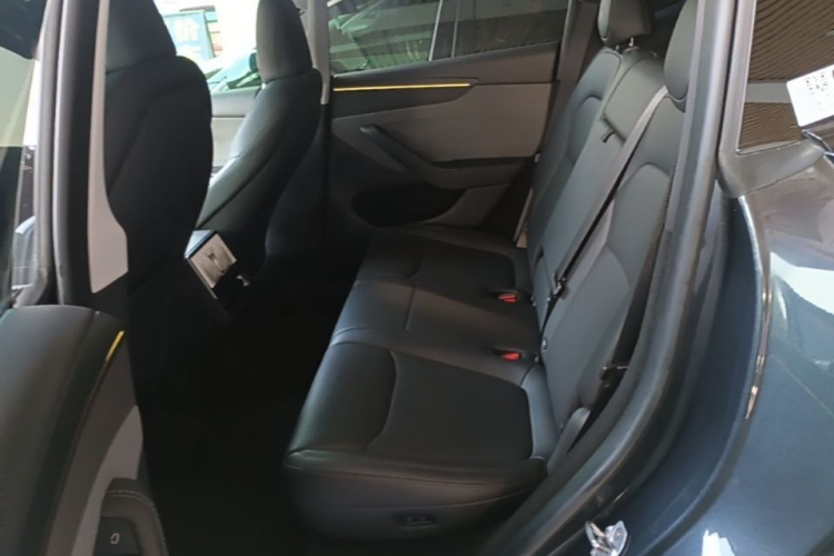 Tesla Model Y 2025 car image #17