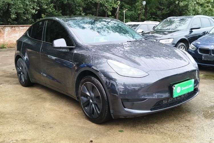 Tesla Model Y 2024 car image #6