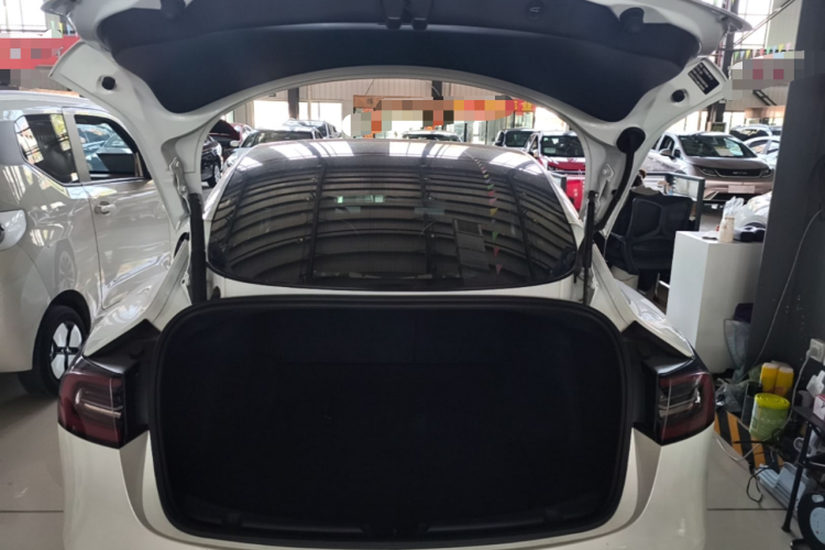 Tesla Model 3 2021 car image #19