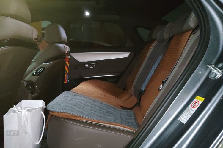 BYD Han 2022 car image #19