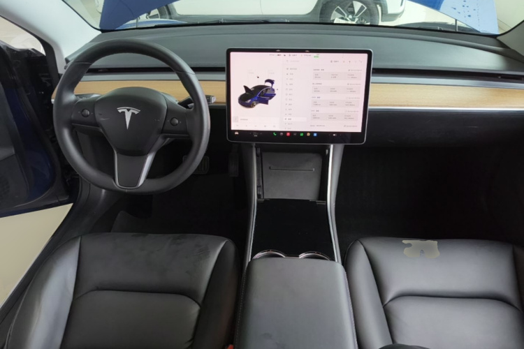 Tesla Model 3 2020 car image #10