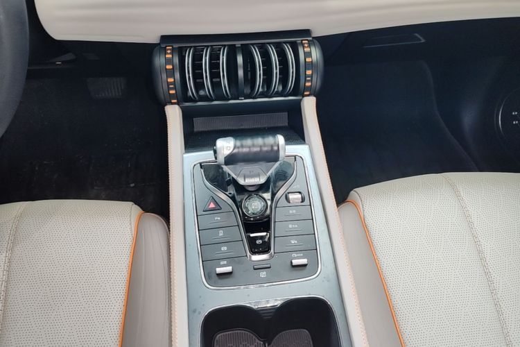 BYD Yuan Plus 2023 car image #14