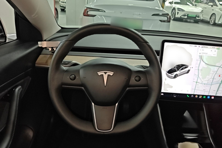 Tesla Model 3 2020 car image #11