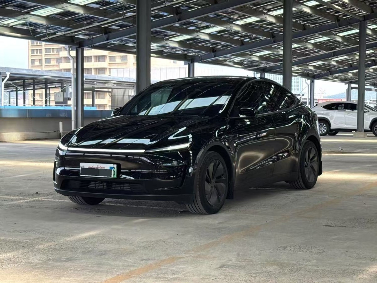 Tesla Model Y 2025 car image 