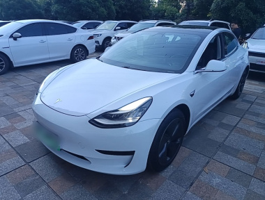 Tesla Model 3 2020 Tesla Model 3 2020 car image