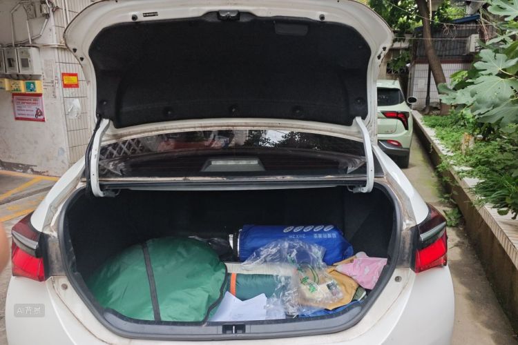 Toyota Corolla 2019 car image #21