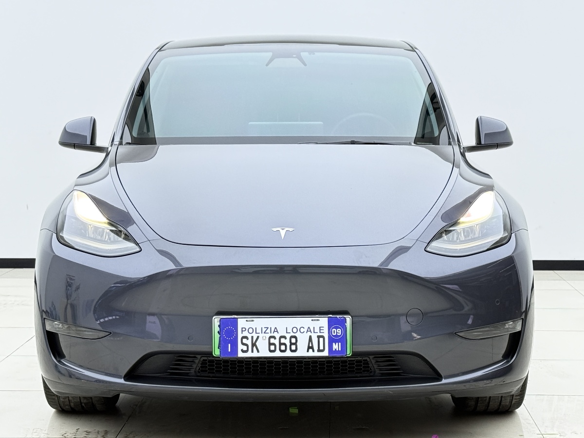 Tesla Model Y 2021 #2 Tesla Model Y 2021 car image #2