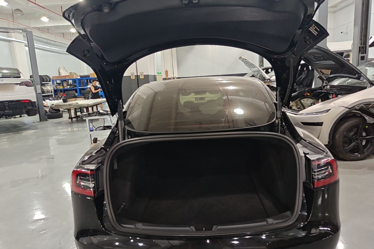 Tesla Model 3 2021 #21 Tesla Model 3 2021 immagine di auto #21