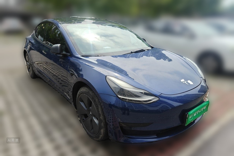 Tesla Model 3 2021 car image #4