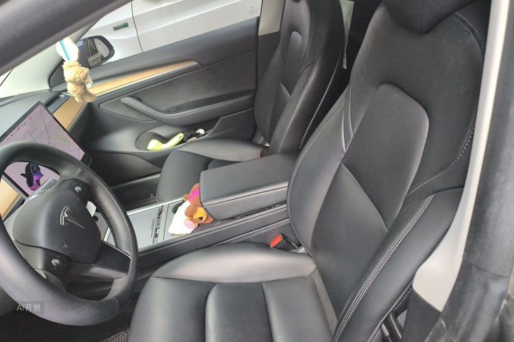 Tesla Model 3 2021 car image #17