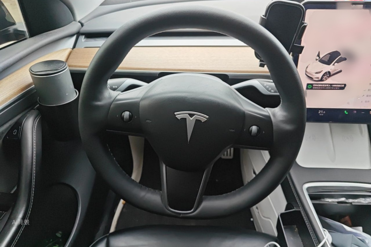 Tesla Model Y 2022 car image #12