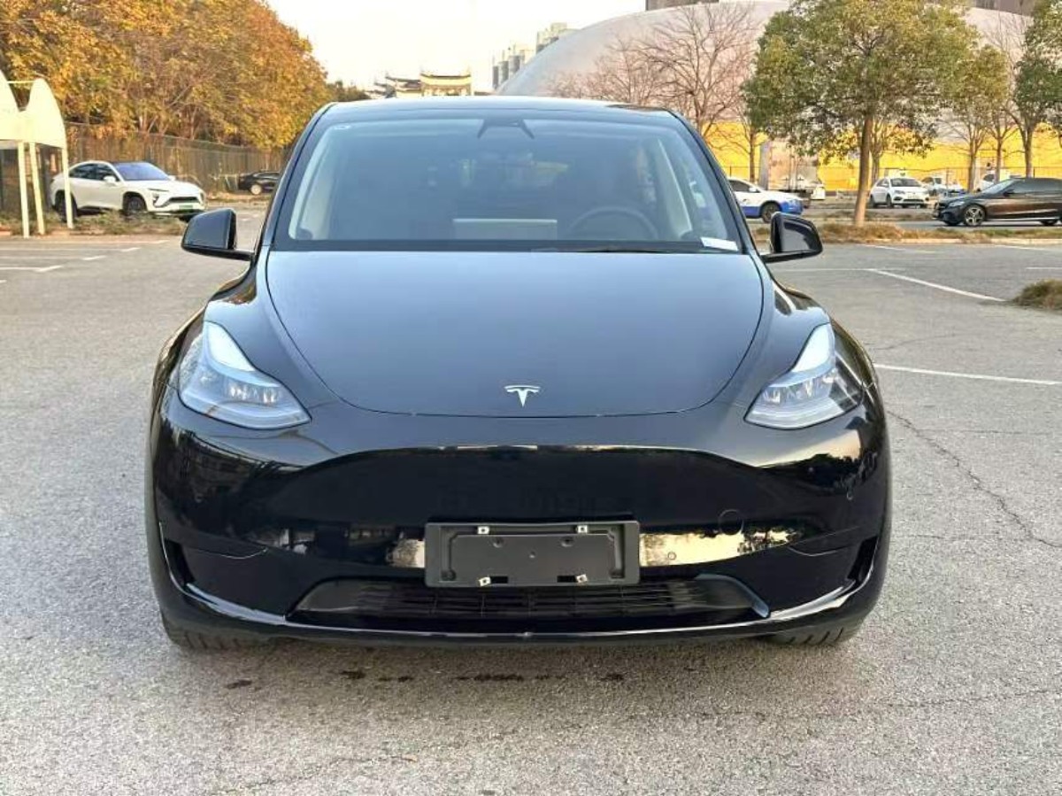 Tesla Model Y 2022 car image #3