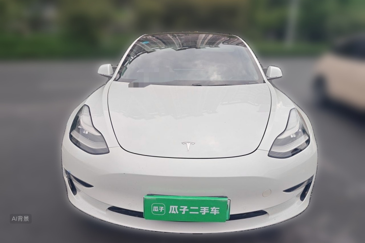 Tesla Model 3 2020 car image #3
