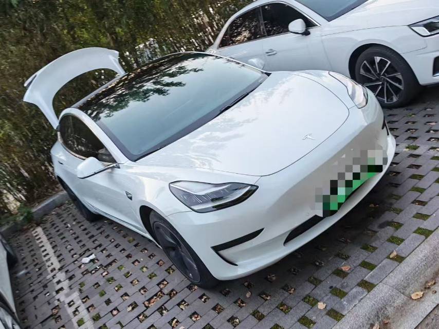 Tesla Model 3 2020 car image #3