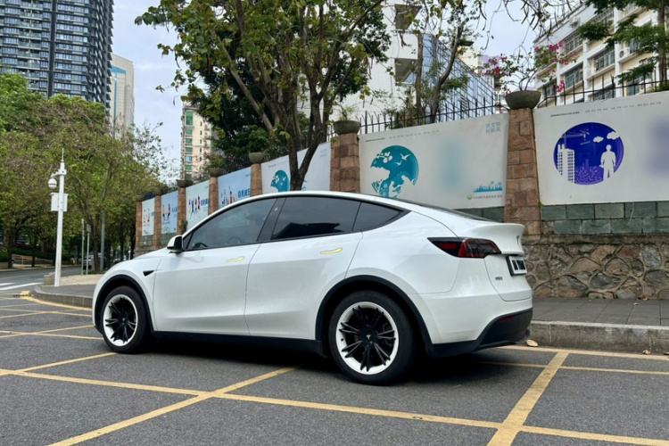 Tesla Model Y 2024 #10 Tesla Model Y 2024 car image #10