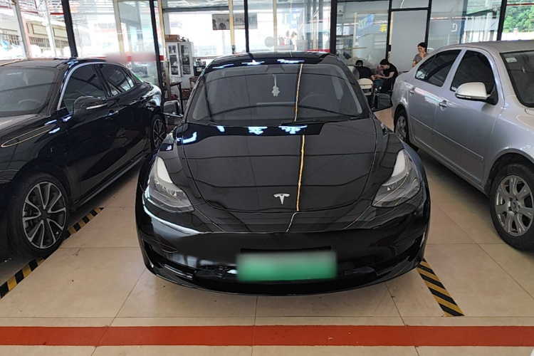 Tesla Model 3 2021 #3 Tesla Model 3 2021 car image #3