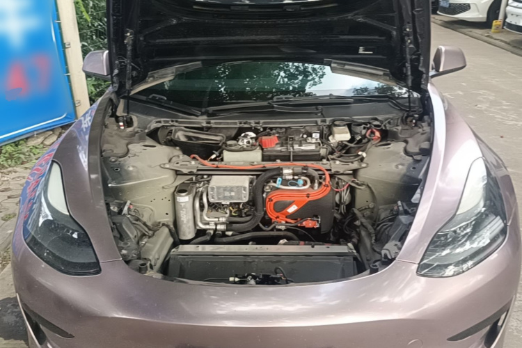 Tesla Model 3 2021 #20 Tesla Model 3 2021 car image #20