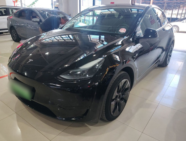 Tesla Model Y 2024 Tesla Model Y 2024 car image